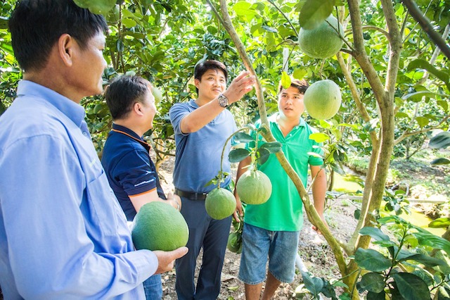 Chợ Gạo tạo sinh kế với nghề nông chủ lực