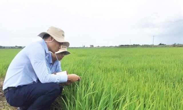 Krông Nô chú trọng tiêu chí thu nhập trong xây dựng nông thôn mới