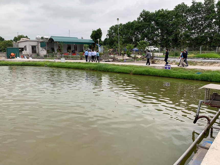 Mô hình nuôi cá lăng nha trong lồng bè trên hồ chứa tại xã Cư ni huyện Ea  Kar tỉnh Đắk Lắk