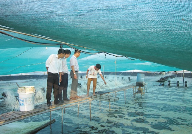 Hiệp Phước làm giàu với nuôi tôm công nghệ cao