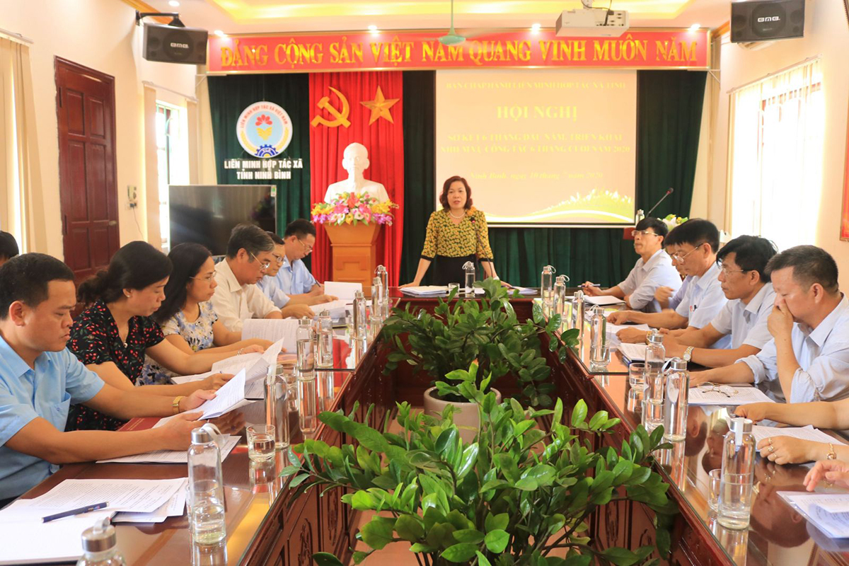 Liên minh HTX tỉnh Ninh Bình đẩy mạnh việc thành lập mới HTX, tổ hợp tác
