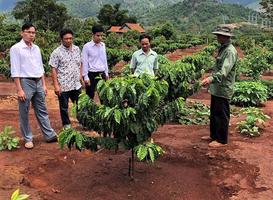 HTX cà phê tiên phong trong tưới tiết kiệm nước