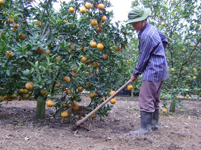 HTX Trường Tiến hướng tới phát triển nông nghiệp xanh