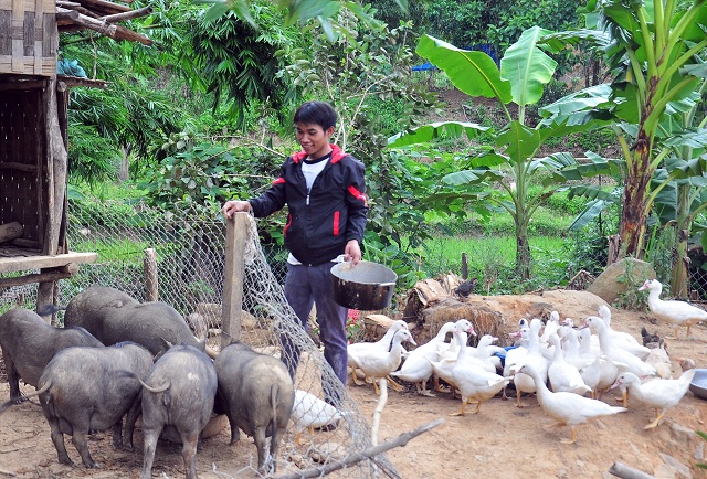 Thổi bùng ngọn lửa khởi nghiệp ở huyện miền núi Đông Giang