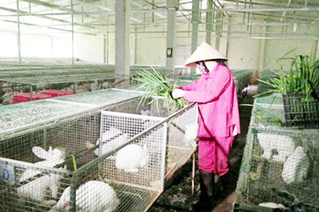Điểm tựa cho phụ nữ khởi nghiệp làm giàu