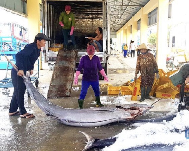 Phần Thất rộn ràng mùa biển
