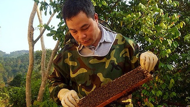 mat-ong-huong-rung-xu-lang-4291-15947581