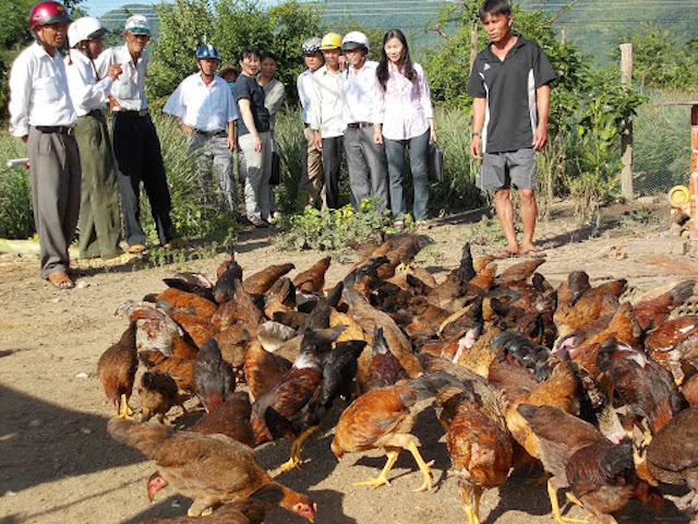Tuy Phước chọn nghề phù hợp cho lao động địa phương