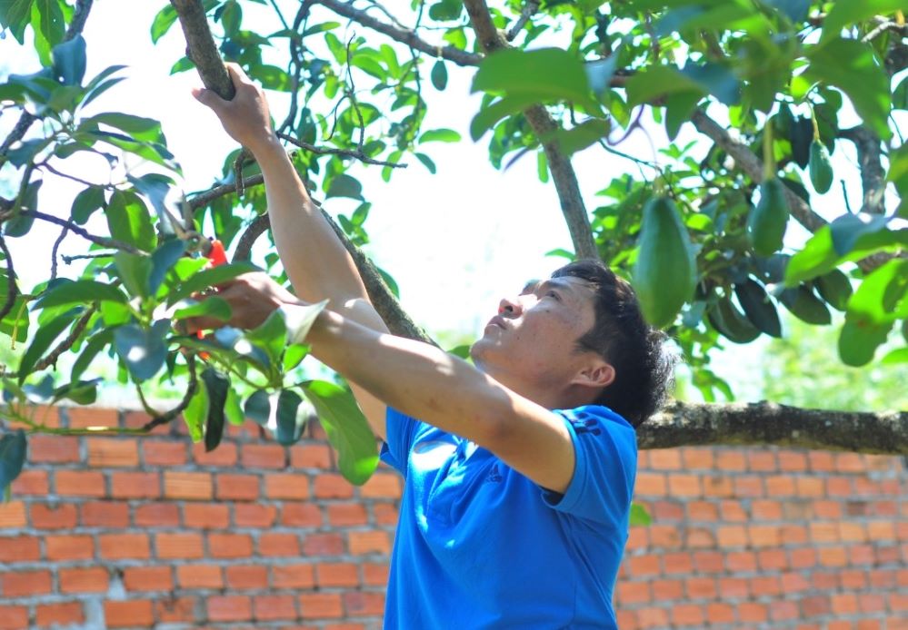 Ea Kao nâng cao thu nhập trong xây dựng nông thôn mới