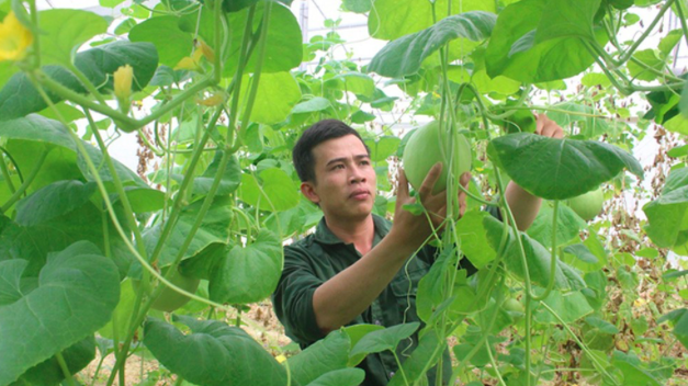 Thanh-nien-hoc-nghe-4773-1595216368.png