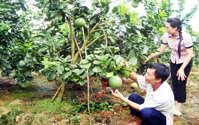Thay đổi ngoạn mục ở xã nông thôn mới Châu Hưng
