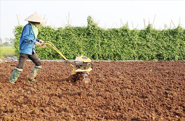 Thúc đẩy sản xuất an toàn, mang lại giá trị lớn cho HTX ở Yên Khánh