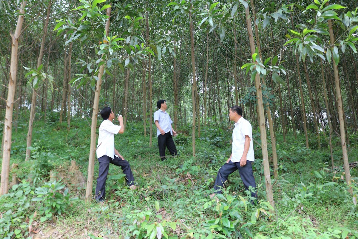 Nghệ An hỗ trợ thanh niên nông thôn học nghề, lập nghiệp