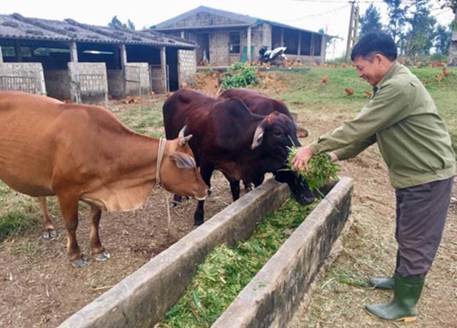 Thí điểm mô hình tổ chức hoạt động lao động hướng nghiệp dạy nghề cho  phạm nhân ngoài trại giam