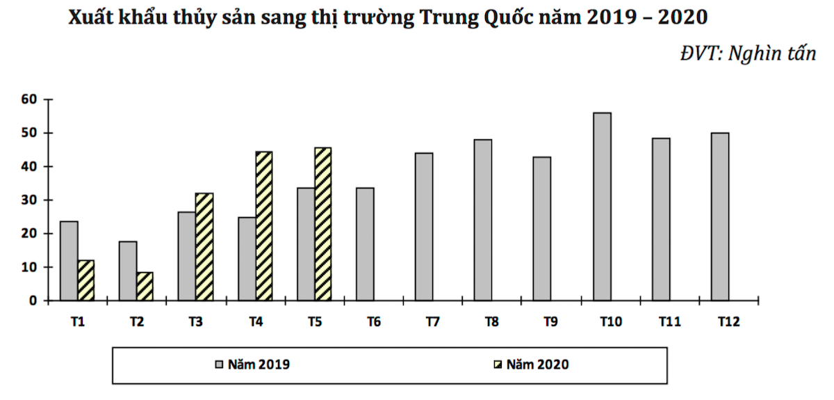 bieu-do-XK-thuy-san-sang-TQ-7417-1595311