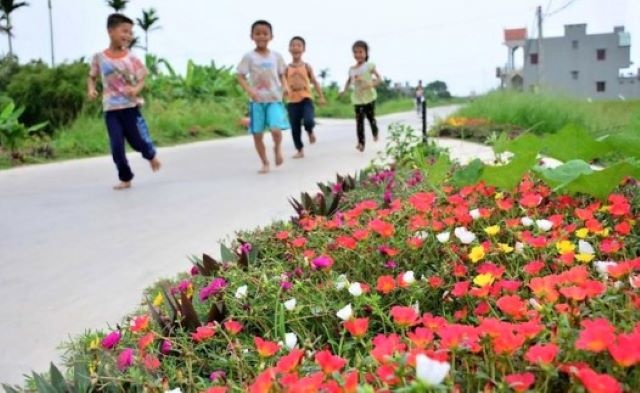 duong-giao-thong-Khoai-Chau-9293-1595380