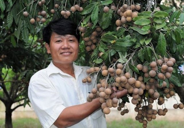 Khoái Châu trên đường về đích huyện nông thôn mới