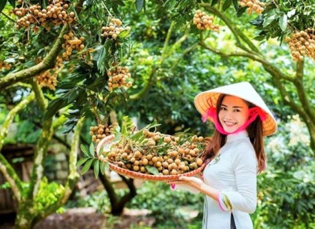 Hưng Yên có gần 1.400 tổ hợp tác và 415 HTX