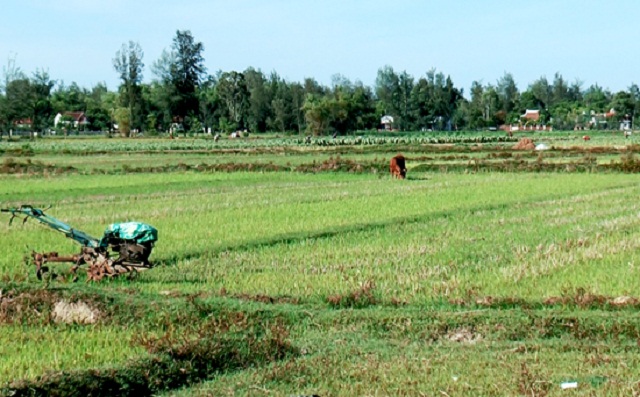 Biến đất bỏ hoang trở thành 