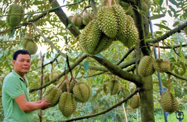 ‘Kỳ tích’ giảm nghèo ở Phước Lộc