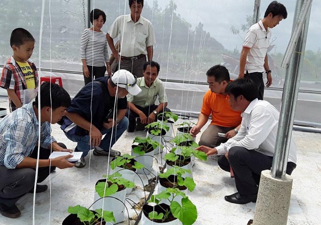 Đồng Xoài hướng đến mục tiêu không còn hộ nghèo