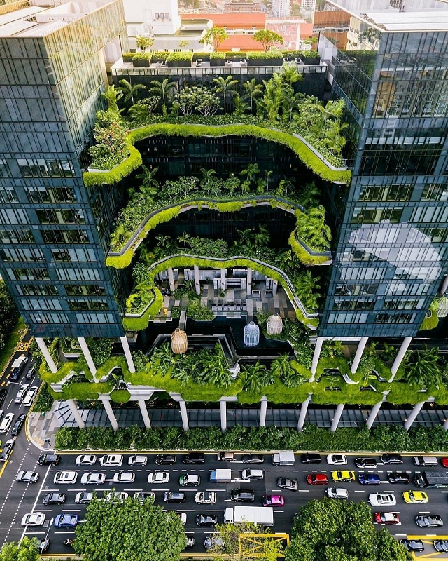 Vườn thẳng đứng Singapore và xu hướng 