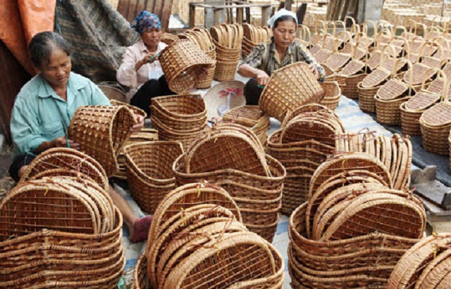 Ninh Thuận: Đào tạo nghề nông thôn gắn với giải quyết việc làm bền vững