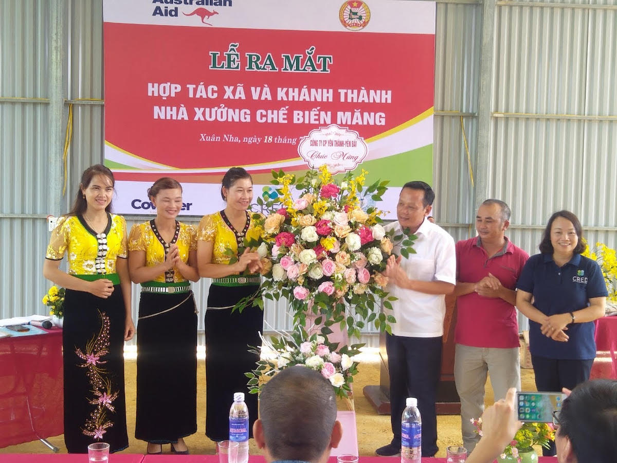 Yên Bái: Hiệu quả từ liên kết giữa HTX và DN trong sản xuất nông, lâm nghiệp