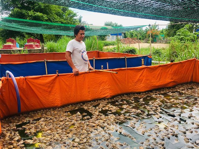 Châu Phú nâng tỷ lệ lao động qua đào tạo nghề nông