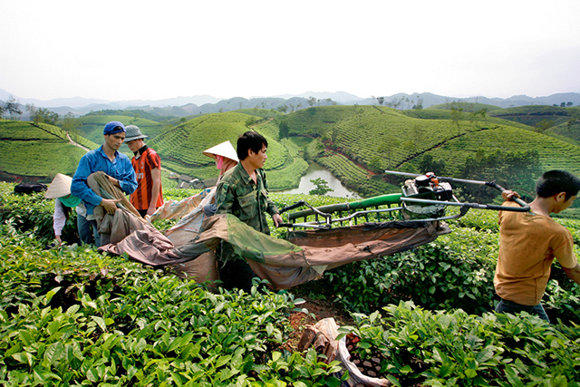 Phú Thọ: Đào tạo lao động nông thôn 'học phải đi đôi với hành'