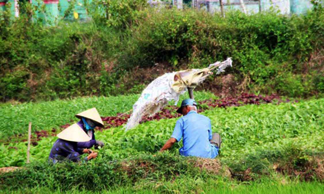 Tháo gỡ khó khăn về đất đai cho các HTX