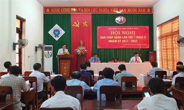 Quảng Bình thành lập mới 20 HTX