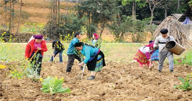 Mèo Vạc giải 'bài toán' việc làm cho lao động nông thôn