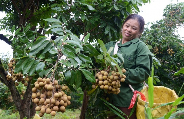 Mường Khoa: Hướng tới xã nông thôn mới nâng cao