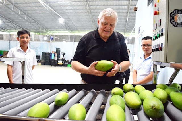 'Hái tỷ đô' ở thị trường khó tính, rau quả sẽ hết phụ thuộc Trung Quốc?