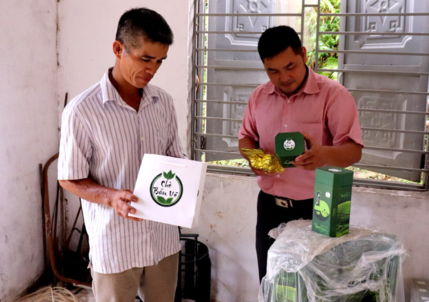 Hương vị trà Bản Vẽ bay xa nhờ hợp tác xã