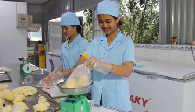 Lâm Đồng: Tạo chuỗi liên kết, hết lo đói nghèo