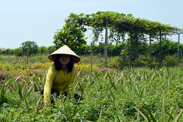 HTX gắn kết những bạn trẻ đam mê nông nghiệp sạch