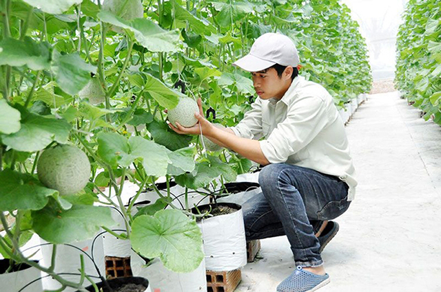 Nông thôn mới về đích đúng hẹn nhờ nông nghiệp hiện đại