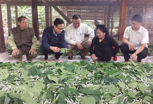 Giải bài toán ô nhiễm môi trường bằng sản xuất tuần hoàn