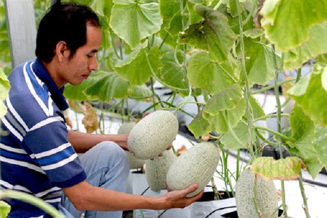 Bảo Thắng nỗ lực giúp người dân giảm nghèo nhanh và bền vững