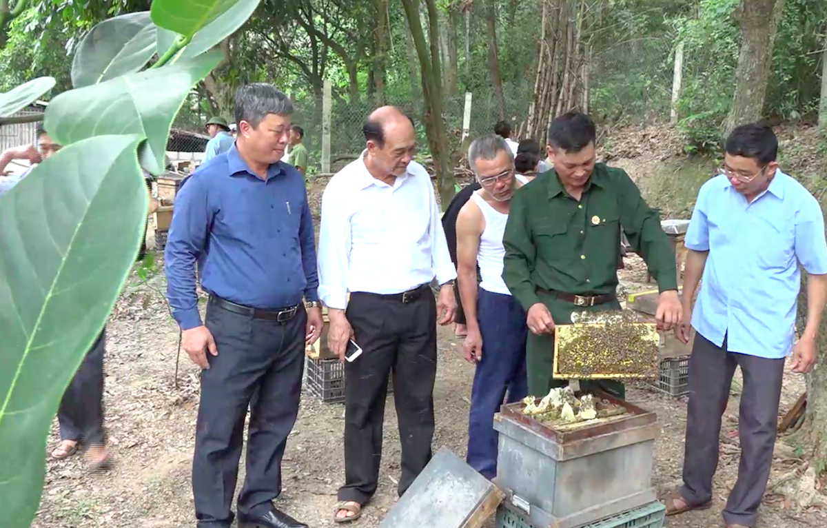 Mật ong rừng Kinh Môn hướng tới vượt 'biển'