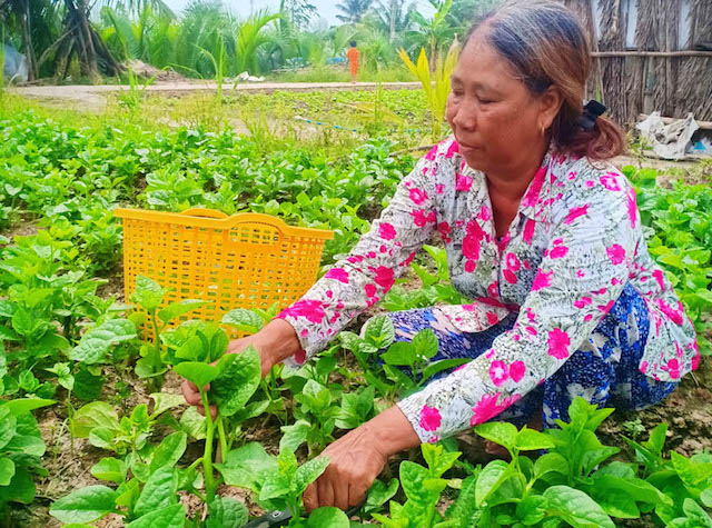 Đổi mới đào tạo nghề giúp người dân Vĩnh Lợi hưởng lợi