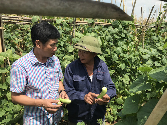 lop-hoc-day-nghe-trong-rau-3991-15965149