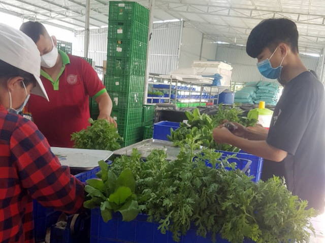 Khỏa lấp khoảng trống BHXH trong khu vực HTX