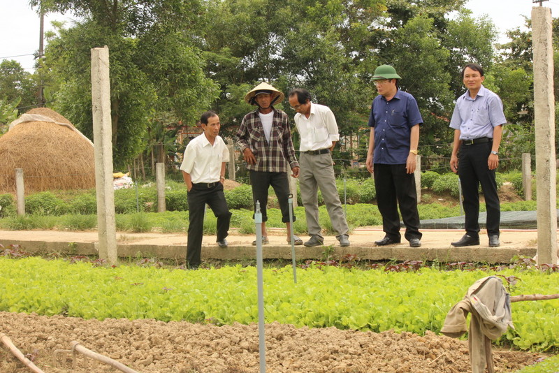 Phát triển sản xuất, xây dựng bền vững nông thôn mới ở Quảng Điền