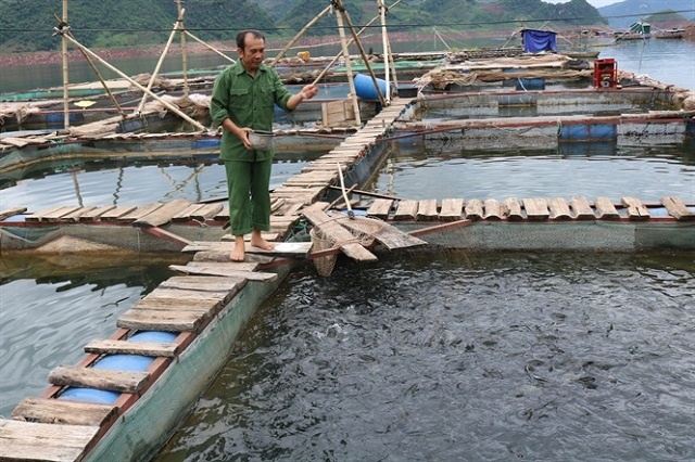 ca-Chieng-789bet link mới-4763-1597047742.jpg