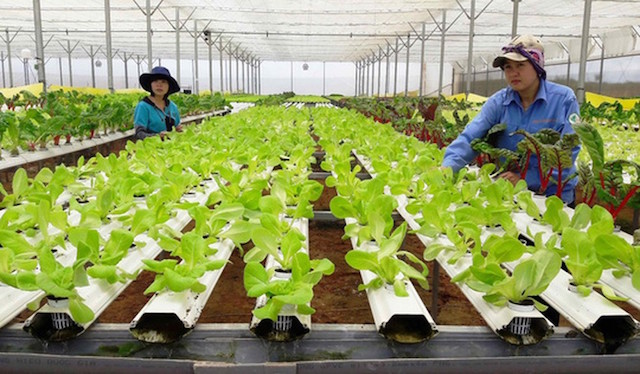 Mở rộng đối tượng tham gia bảo hiểm xã hội tự nguyện