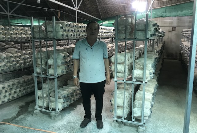 Nhơn Đức giàu lên với nông nghiệp đô thị
