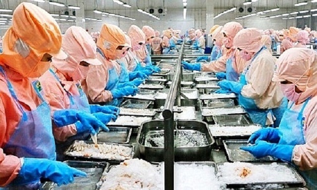 6 tháng đầu năm, 'vua tôm' Minh Phú mới chỉ thực hiện được 25% kế hoạch lợi nhuận